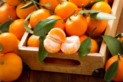 un vanzator de mandarine care nu indeplinea toate conditiile legale a scapat de o amendata data de fisc datorita unei chichite juridice de care functionarii nu au tinut cont 68c7da27170b0