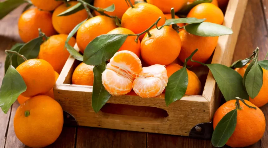 un vanzator de mandarine care nu indeplinea toate conditiile legale a scapat de o amendata data de fisc datorita unei chichite juridice de care functionarii nu au tinut cont 68c7da27170b0