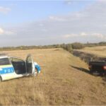 urmarire ca in filme in judetul timis un sofer fara permis s a rasturnat cu masina intr un sant in timp ce incerca sa scape de politie 68dbe08e53f34