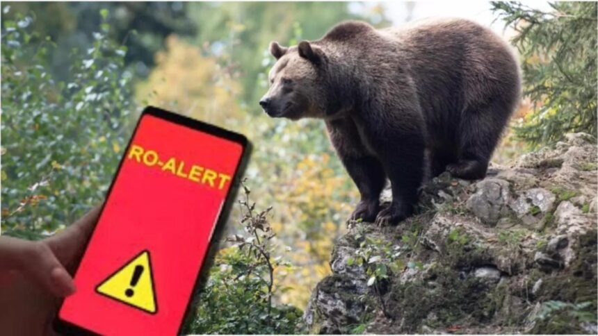 ursii si au facut aparitia in doua localitati din judetul dambovita a fost emis ro alert 68d0e7fc2784b