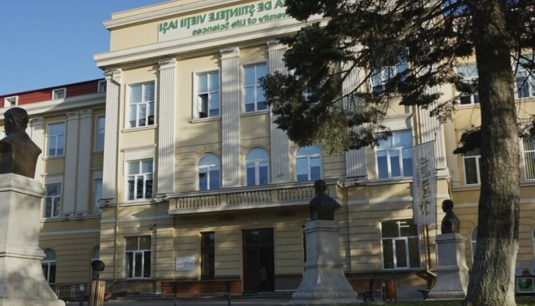 usv iasi pune la bataie circa 600 de locuri la admiterea de toamna inscrierile se incheie vineri 68b782d616ad8