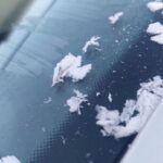 va era dor nici n am renuntat bine la tricou hop si primul inghet in moldova de ses 68d65020d2df4