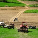 val de insolvente in agricultura la cererea creditorilor cu toate acestea numarul de firme noi agricole tot creste iasul are 323 firme active in domeniu 68cdfebd585a9