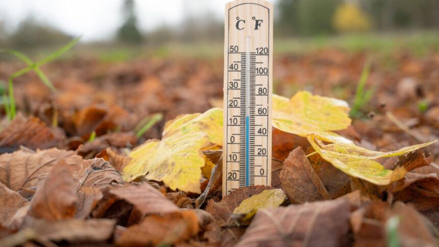 vreme anormal de calda si deficit de ploi prognoza anm pentru urmatoarele patru saptamani 68bfba97c8af7