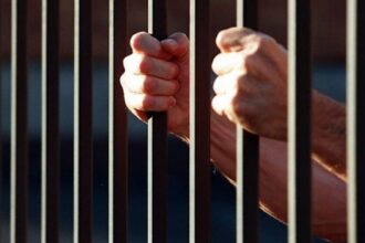 adolescent de 14 ani arestat pentru violarea unei fetite de patru ani incident halucinant in judetul alba 68de3e3c6f72c