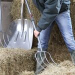 arestat pentru ca a furat o furca dintr o caruta cu fan 68fa29c079f32