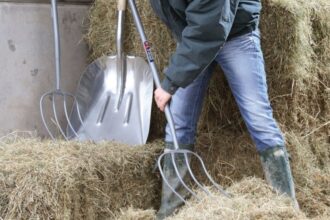 arestat pentru ca a furat o furca dintr o caruta cu fan 68fa29c079f32