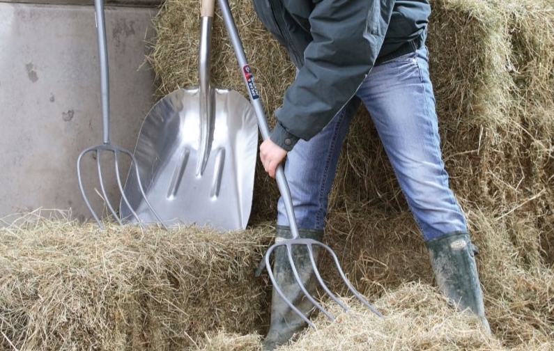 arestat pentru ca a furat o furca dintr o caruta cu fan 68fa29c079f32