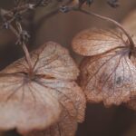 avertisment de la meteorologi un nou val de frig si ploi abundente va afecta romania 68e22e319fc71