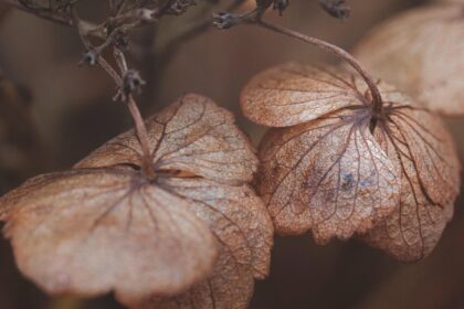 avertisment de la meteorologi un nou val de frig si ploi abundente va afecta romania 68e22e319fc71