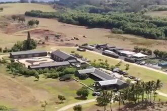 bogatii lumii se pregatesc de apocalipsa in buncare de lux ce au reusit reporterii sa afle de la mark zuckerberg 68ea78980187b