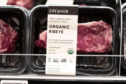 bruxelles loveste vegani ue vrea sa interzica denumirile snitel carnati si friptura pentru produsele vegetale 68e5779987b61