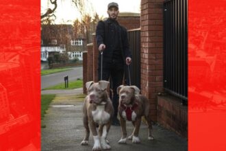 cainii fotbalistului algerian said benrahma au atacat o persoana el va fi audiat de justitia engleza 68e4080731cd1