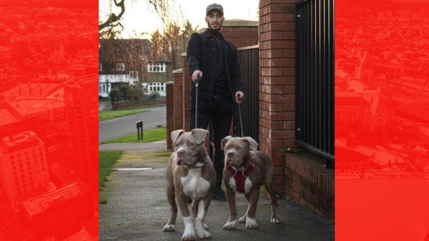 cainii fotbalistului algerian said benrahma au atacat o persoana el va fi audiat de justitia engleza 68e4080731cd1