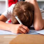 ce spune ministrul educatiei despre temele pentru acasa mai bine sa le faca cu placere si sa nu fie o incarcatura foarte mare decat sa le faca cu frustrare 690248e05366d