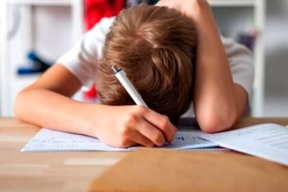 ce spune ministrul educatiei despre temele pentru acasa mai bine sa le faca cu placere si sa nu fie o incarcatura foarte mare decat sa le faca cu frustrare 690248e05366d