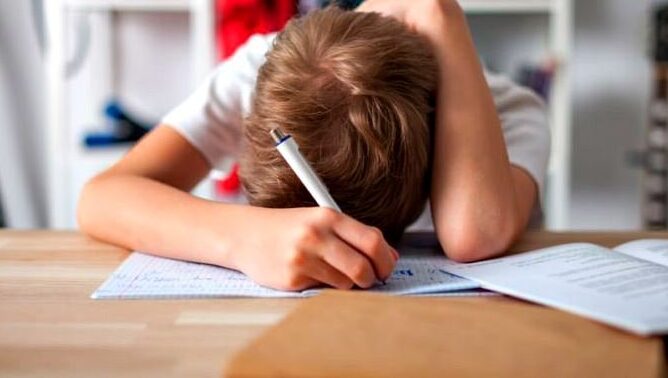 ce spune ministrul educatiei despre temele pentru acasa mai bine sa le faca cu placere si sa nu fie o incarcatura foarte mare decat sa le faca cu frustrare 690248e05366d