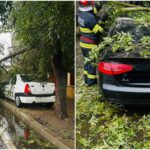 ce trebuie sa faci atunci cand cade un copac peste masina ta in ce conditii si de la cine poti primi despagubiri 68e09c61ce344