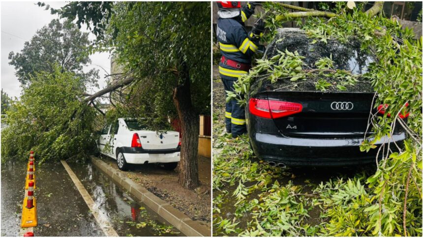 ce trebuie sa faci atunci cand cade un copac peste masina ta in ce conditii si de la cine poti primi despagubiri 68e09c61ce344