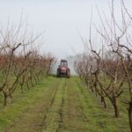 cercetare pe datorie la iasi statiunea de cercetare agricola din podu iloaiei pe lista neagra a anaf datorii de peste 35 milioane lei 68f977e99fa9d
