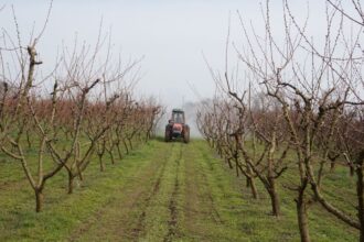 cercetare pe datorie la iasi statiunea de cercetare agricola din podu iloaiei pe lista neagra a anaf datorii de peste 35 milioane lei 68f977e99fa9d