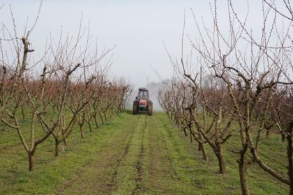 cercetare pe datorie la iasi statiunea de cercetare agricola din podu iloaiei pe lista neagra a anaf datorii de peste 35 milioane lei 68f977e99fa9d