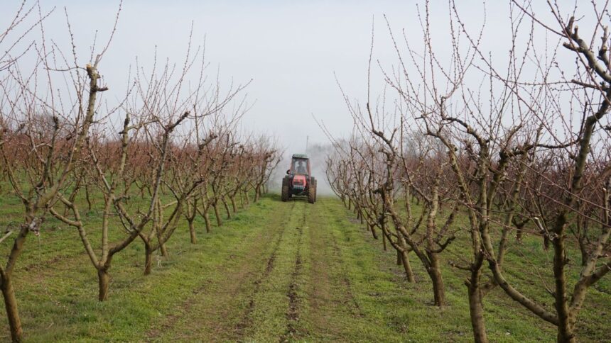 cercetare pe datorie la iasi statiunea de cercetare agricola din podu iloaiei pe lista neagra a anaf datorii de peste 35 milioane lei 68f977e99fa9d
