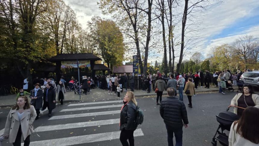 copoul mai aglomerat ca niciodata intr o zi de toamna cozi interminabile la expozitia de crizanteme 68fe26c5a3be6