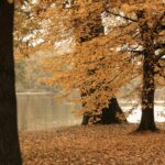 cum va fi vremea in luna octombrie cand scapam de frig si ploi 68e1311310380