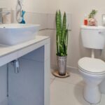 de ce se face praf in baie ce trebuie sa faci ca sa previi aparitia acestuia 68e4c421a4bef