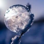 dimineata geroasa la iasi termometrele au indicat temperaturi cu minus 68f73e64479e9