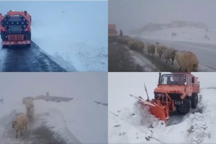 drumarii intervin pe transalpina se creeaza un culoar pentru crescatorii de animale blocati in zona video 68e7778560889