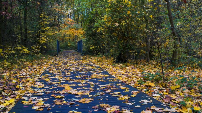 frig si rafale de vant dupa inundatii noua prognoza anm 68e748b807966