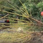 furtuna si ploaia fac ravagii in bucuresti acoperisuri si copaci doborate de vantul puternic 68dede1ab4c66