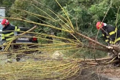 furtuna si ploaia fac ravagii in bucuresti acoperisuri si copaci doborate de vantul puternic 68dede1ab4c66