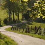 horoscopul de weekend 11 12 octombrie 2025 vin bani neasteptati pentru o zodie 68e8e30a71808