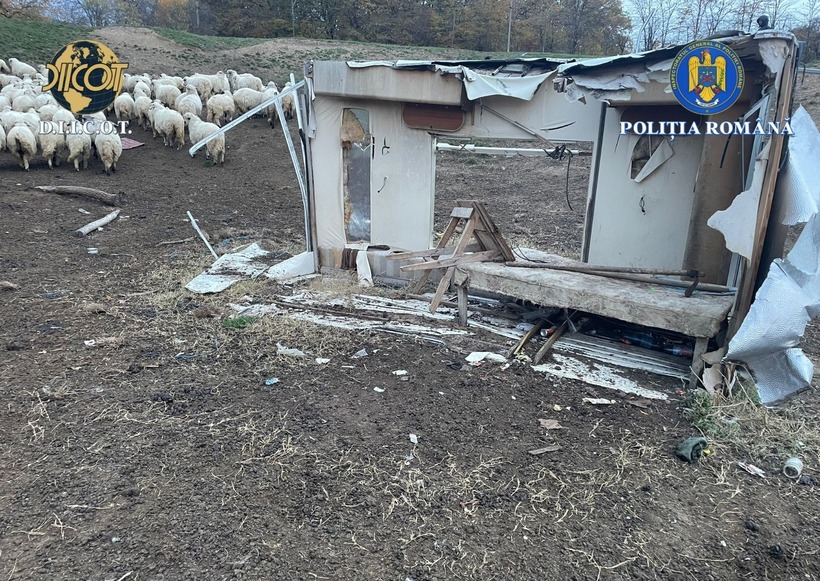 iasi doua persoane fortate sa munceasca in conditii inumane exploatatorii retinuti de politie 69021ebcec493 2