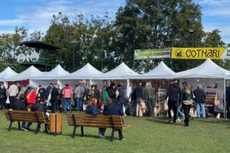 iasul sarbatoreste gustul autentic la zilele recoltei produse locale de la 90 de producatori pe arena usv din copou hai sa dam pe poz4 pls 68e24281533c9