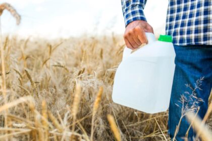 lege impotriva otravurilor din farfurie guvernul adopta masuri noi impotriva utilizarii pesticidelor 68de3fb7a8a66