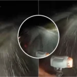 mare atentie soferi ninsori abundente pe dn 7a in zona obarsia lotrului recomandarile drumarilor video 68decac7dfd7d