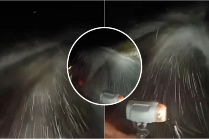 mare atentie soferi ninsori abundente pe dn 7a in zona obarsia lotrului recomandarile drumarilor video 68decac7dfd7d