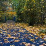 meteo 4 octombrie vreme rece cu ploi si lapovita si ninsoare la munte 68e09eacb8116