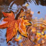 meteo 5 octombrie sfarsit se saptamana cu temperaturi neobisnuit de scazute 68e1f2427daa7