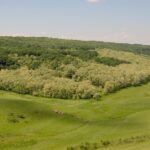 micii naturartisti redescopera padurea la marzesti trail run 68dfc29b84cb4