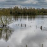 ministrul energiei mobilizeaza comandamentul energetic pentru criza ca raspuns la vremea extrema care pune romania in primejdie 68e54c4843c4e