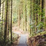 navigatia le a creat probleme familie cu 5 copii blocata pe un drum forestier din judetul buzau au intervenit jandarmii montani 68e360168a3a0