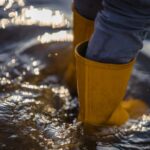 nu vine potopul specialistii explica de ce ploaia din aceste zile nu e un dezastru ci o necesitate 68e571e27250f