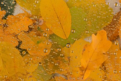 octombrie atipic vreme mohorata si temperaturi scazute pana la final de luna unde va continua sa ploua 68e4ceda4a787