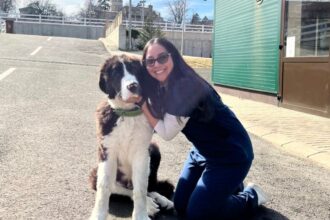 povestea acunei a venit de la 10 000 km sa studieze medicina veterinara la iasi am ales dupa imaginile de pe google e cel mai verde oras 68fecf76b1db5