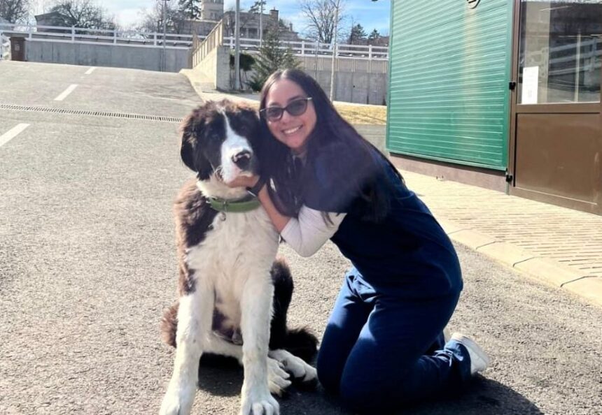 povestea acunei a venit de la 10 000 km sa studieze medicina veterinara la iasi am ales dupa imaginile de pe google e cel mai verde oras 68fecf76b1db5